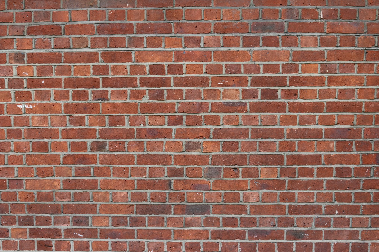 Brick Facade and Repointing: How to Tell What Your Wall Actually Needs