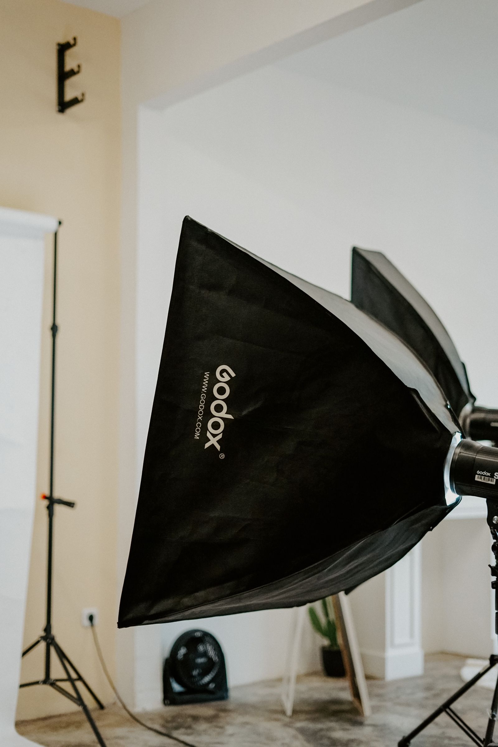 Newborn & Family Photo Studio Amsterdam: What to Look For