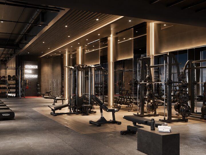 Strength zone: racks, barbells and plate stands by a mirrored wall