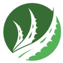 eco cosmetics